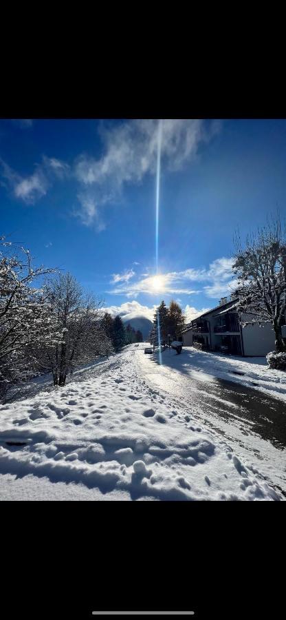 Casa Gilda Val Di Fiemme - Dolomiti Apartment Cavalese Ngoại thất bức ảnh